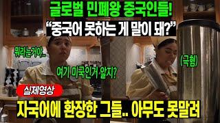 중국반응 | 어디든 ‘내 집’ 같아야 직성 풀리나? 중국의 민폐 정신, 해외는 그들의 놀이터!