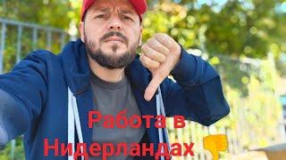 Работа в Нидерландах Мой опыт на DHL europe travel vlog