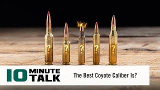 #10MinuteTalk - The Best Coyote Caliber Is?
