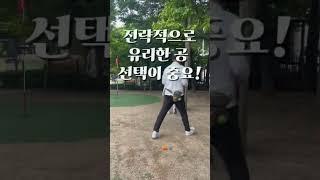함께 치면 더 재밌는 파크골프! 포섬 베스트볼 혼합 방식 #파크골프 #파크골프동영상 #포섬 #베스트볼