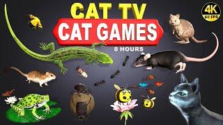 CAT GAMES | THE ULTIMATE CAT TV COMPILATION FOR FELINE FRIENDS | GAMES FOR PETS 4K 8 HOURS