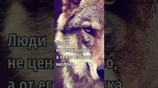 Мудрость слова  Истина  Правда жизни 