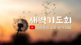 새벽기도회 | 2025-01-08(수) | 여호수아 6:8-27 | 이태우 담임목사