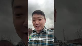 Как мы оцениваем авто в Корее для отправки в Россию ?