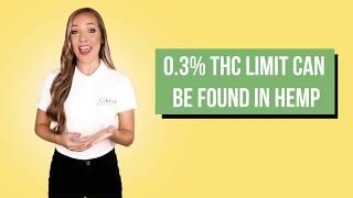 Full Spectrum vs Broad Spectrum CBD Oil Products - What's the difference & which is better?