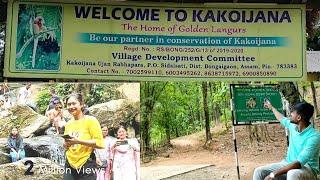 Kakoijana Naturel Park | Kakoijana Reserve Forest | Kakoijana Bongaigaon | Kakoijana National Park