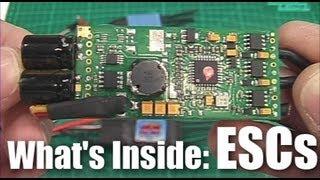 What's inside: ESCs