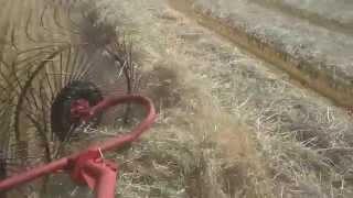 Raking and bailing 2015 wheat for hay