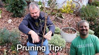 Winter Pruning Tips