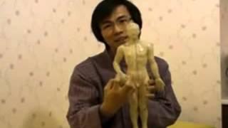 뱃살, 복부비만, 똥배, 내장비만 부분 다이어트 방법- 배지압법 (뱃살빼기)