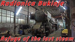 Radionica Bukinje - Refuge of the last steam