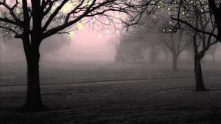 Jonny Greenwood - Grass, Wind, Woods 500% slower