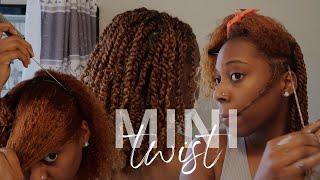 Mini Twist | Summer Protective Styles | Natural Hair | Mia Ashanti 