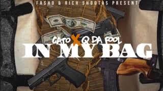 Cato x Q Da Fool - In My Bag #FreeDaFool