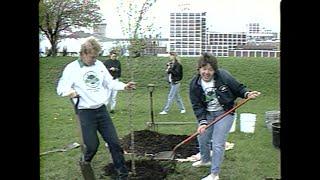 1990 Trees Forever Throwback video