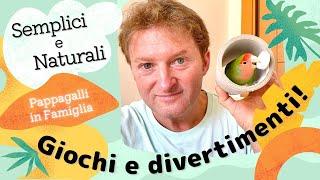 Giochi semplici e naturali per i pappagalli