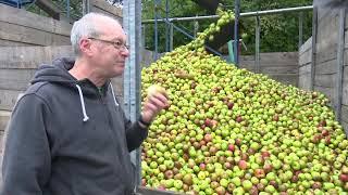 Vom Apfel zum Saft