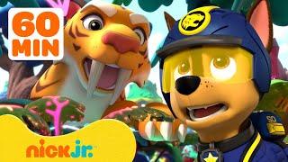 PAW Patrol Daring Jungle Pups Rescues with Animals & More! w/ Chase and Skye  1 Hour | Nick Jr.