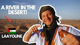 DISCOVERING A RIVER IN THE DESERT! EXPERIENCING LAAYOUNE! 