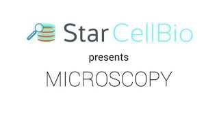 Basic Microscopy Animation