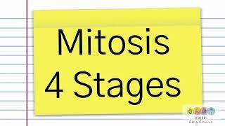 Leaving Cert Biology Mitosis-Basic Summary.