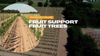 Tree Support for fruit - FRUITSECURITY HOLLAND