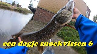 Een dagje snoekvissen 6 (METER SNOEK!)