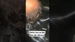 Starter Locs on Straight Hair