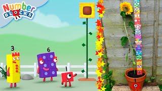 Grow and Learn with Sunflower Fun  DIY | Arts and Crafts for Kids | Learnt to count | Numberblocks