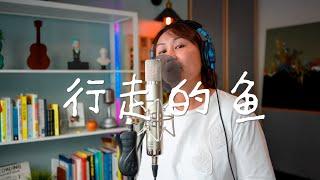 徐佳莹 - 行走的鱼 (cover by EeSan)