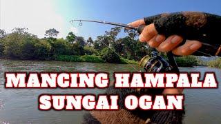 MANCING IKAN HAMPALA DI SUNGAI OGAN DENGAN TEKNIK CASTING