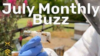 July 2024 Monthly Buzz