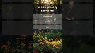Daily Trivia Quiz | How Smart Are You? General Knowledge Questions #quizchallenge #quizgames #quiz