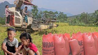 The giant machine helps the girl harvest rice