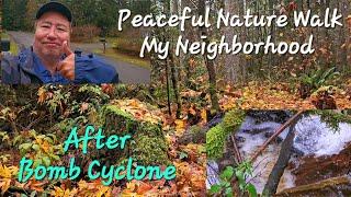 Neighborhood Nature Walk After Bomb Cyclone To See If Any Damage