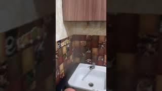 Обработка квартиры от тараканов в Красноярске.