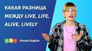 Live, life, alive, lively. В чём разница?