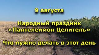 Народный праздник «Пантелеимон Целитель». 9 августа. Что нужно делать в этот день