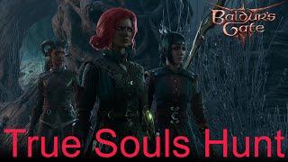 Baldur's Gate 3: Sorry I'm No True Soul! Deadly Build