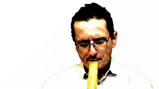 Sokkan – 息観 (Observing the breathing) on a 2.7 shakuhachi