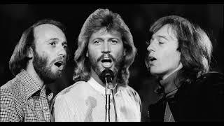 THE BEE GEES-more than a woman