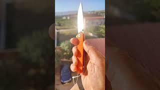 Ruike P801-J knife #knife #knives #tactical #tacticool #shorts #video #youtubeshorts