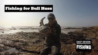 Fishing for Bull Huss