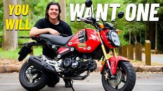 Honda Grom Review | Can this tiny bike KEEP UP?