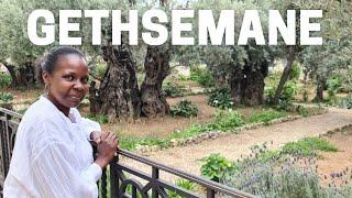 Gethsemane Where Jesus Was Arrested ||  Judas Betrayed Jesus With a Kiss