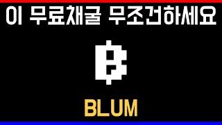 초대형 무료채굴앱 BLUM 초창기부터 말씀드렸는데 무조건 하시면 됩니다 !