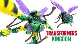 Transformers Kingdom Deluxe Class WASPINATOR Review