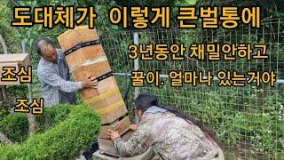 3년방치 대형벌통을 열어보았습니다#토종꿀 #토종벌