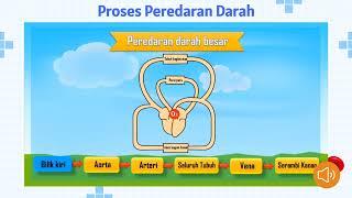 Sistem Kardiovaskular (Darah): Komponen Darah, Fungsi Darah, Golongan Darah, Proses Peredarah Darah