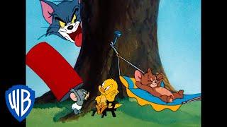 Tom y Jerry en Español | Dibujos Clásicos 102 | WB Kids